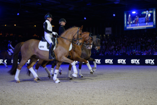 Spectacle Équestre - Battle de dressage by STX FRANCE