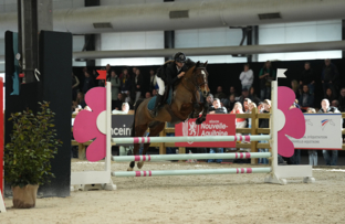 3_lilou-deleuil-poney-1-vitesse-artisteassocie-003.jpg