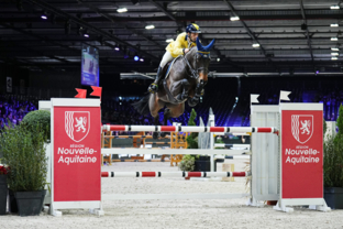 CSI5*W Prix PERSHING by LA SELLERIE DU BASSIN – 3ème place - Yuri Mansur et Glinka de la Treille