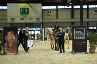 rdp_poney-elite-grand-prix-artisteassocie-005.jpg