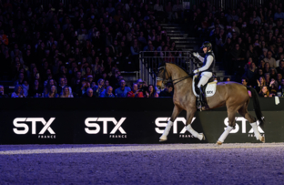 Spectacle Équestre - Battle de dressage by STX FRANCE