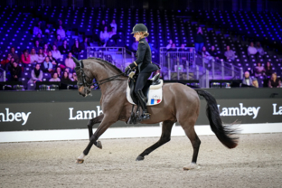 Dressage CDI4* - Grand Prix - 2nd place - Pauline Basquin and Sertorius de Rima Z Ifce