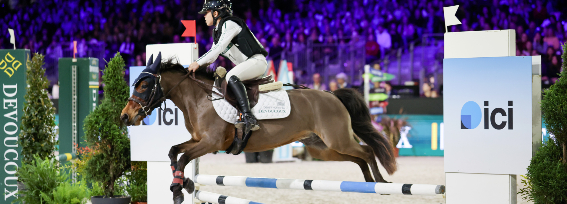 blocune2-derbyponey.jpg