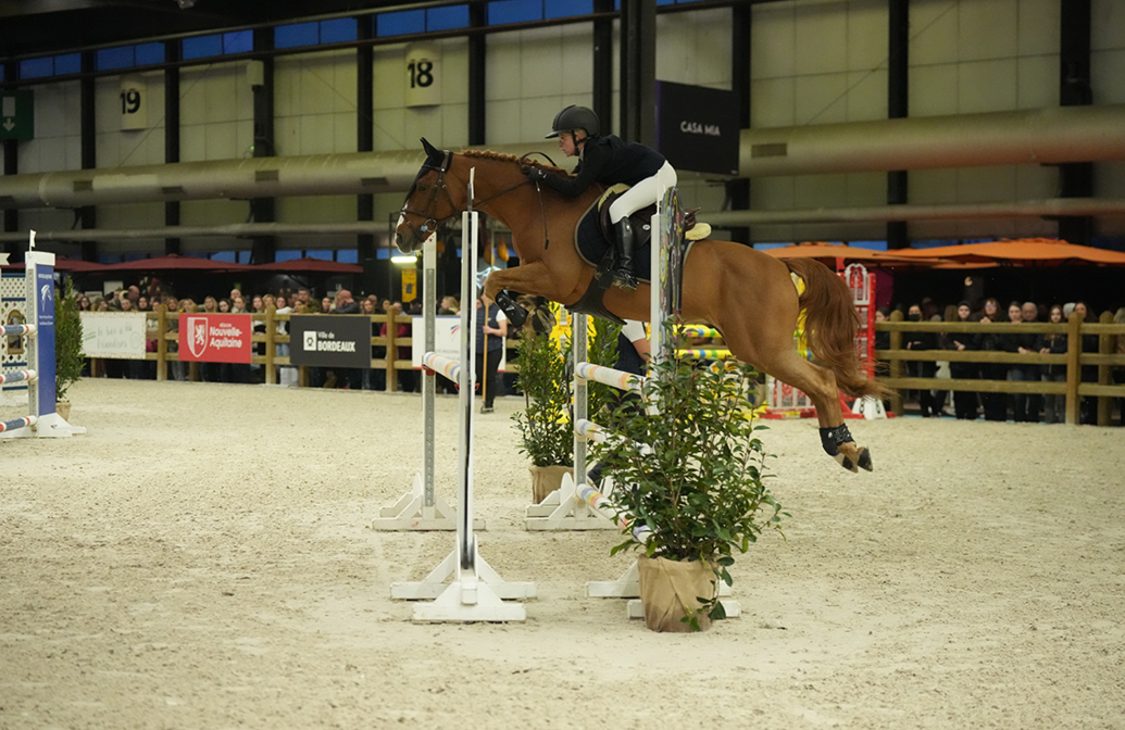 2_judith-baudron-as-poney-2d-vitesse-artisteassocie-004.jpg
