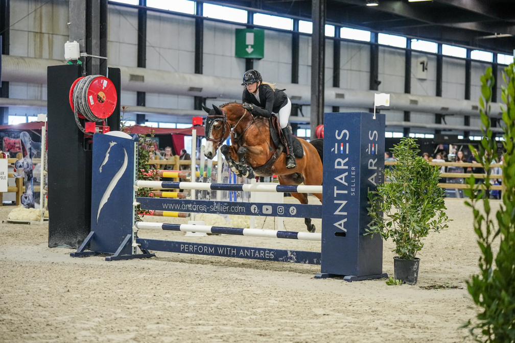 As Poney 2D Vitesse by ANTARES SELLIER - 1ère place - Charlotte Cesar & Domino Box d'ete