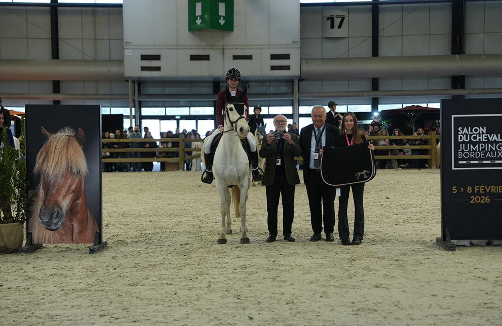 rdp-poney-2-vitesse-artisteassocie-002.jpg