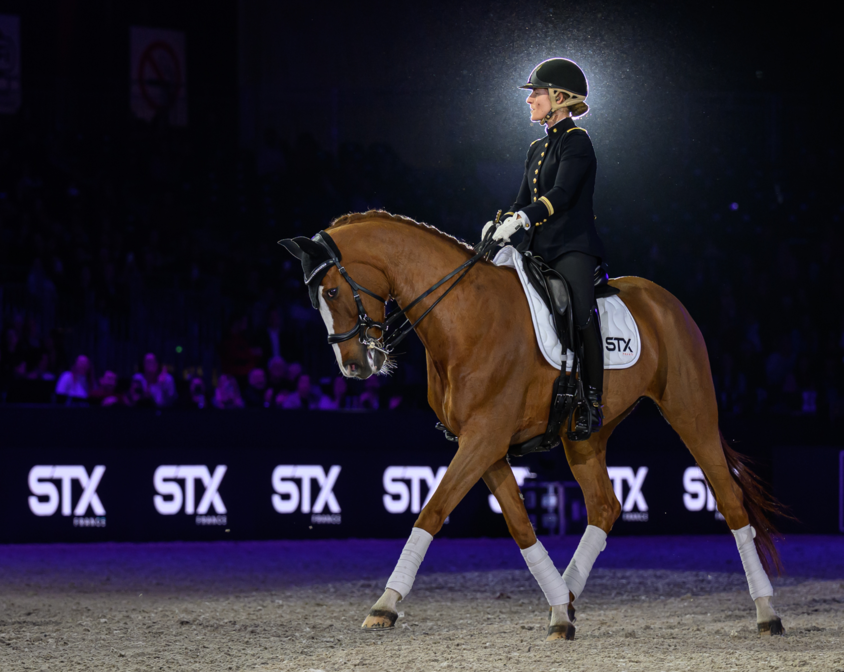 Spectacle Équestre - Battle de dressage by STX FRANCE