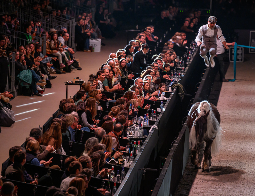 Spectacle Équestre - REVE(S)