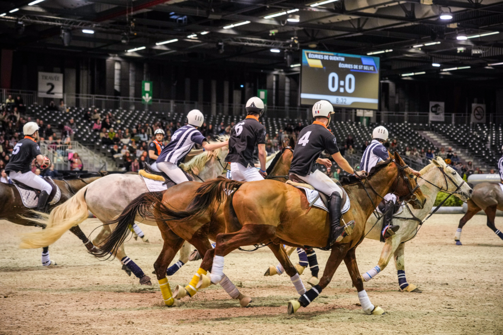match-de-horseball-artisteassocie-002.jpg