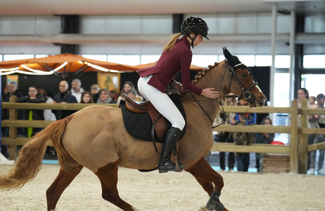 rdp_poney-1-vitesse-artisteassocie-054.jpg