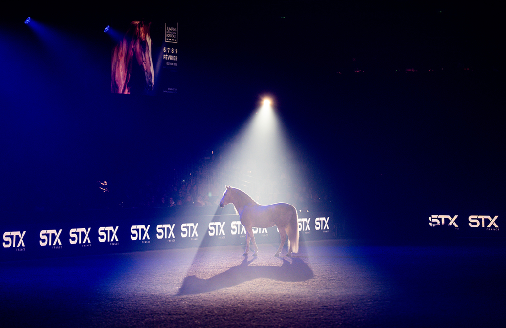 spectacle-sueno-artisteassocie-076.jpg