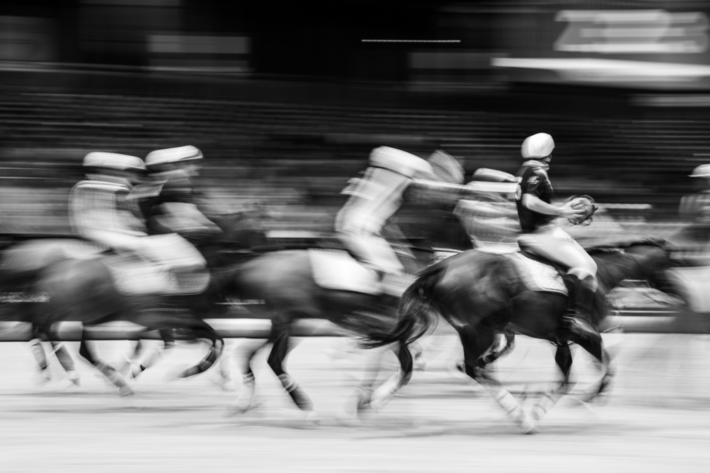 match-de-horseball-artisteassocie-023.jpg