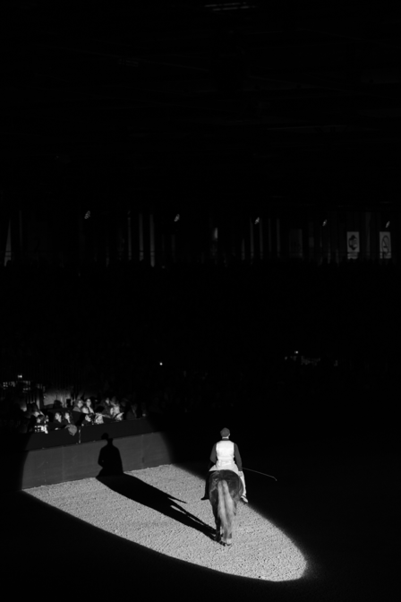 Spectacle Équestre - REVE(S)