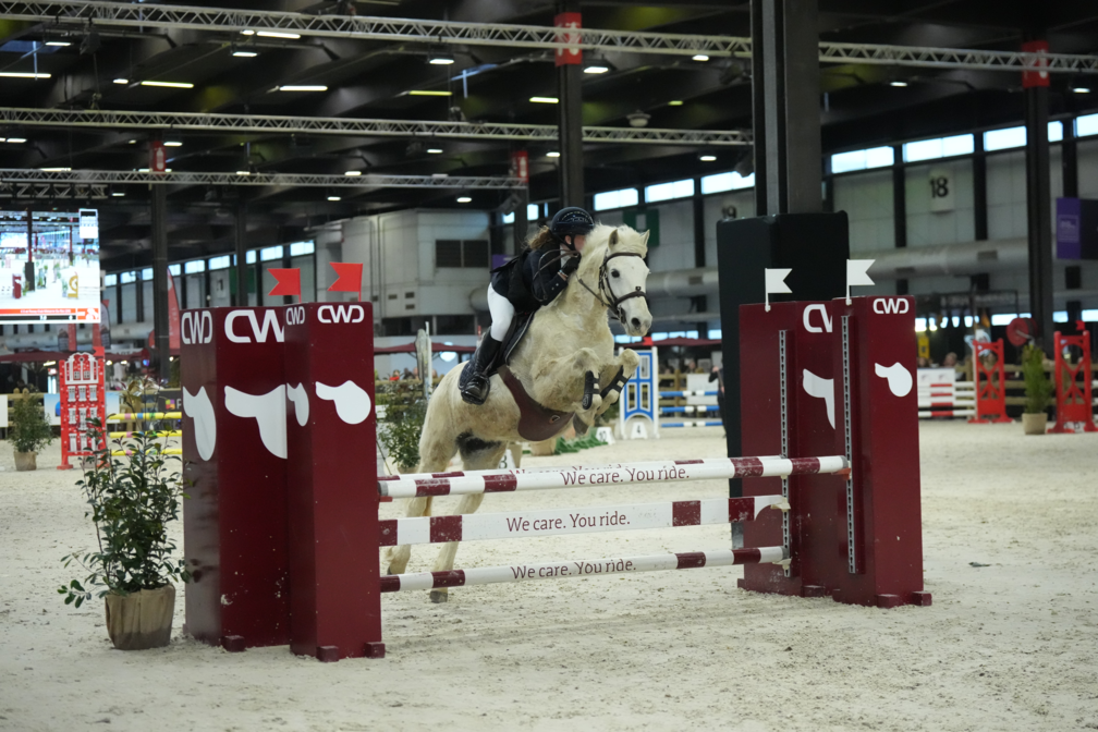 2_eva-salles-poney-1-grand-prix-artisteassocie-007.jpg