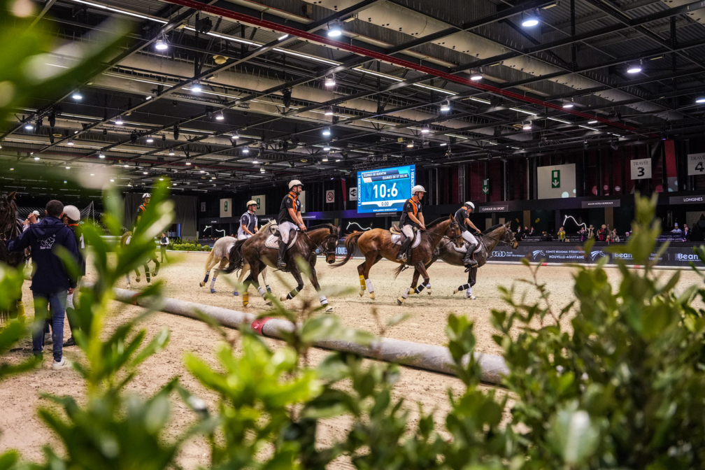 match-de-horseball-artisteassocie-010.jpg