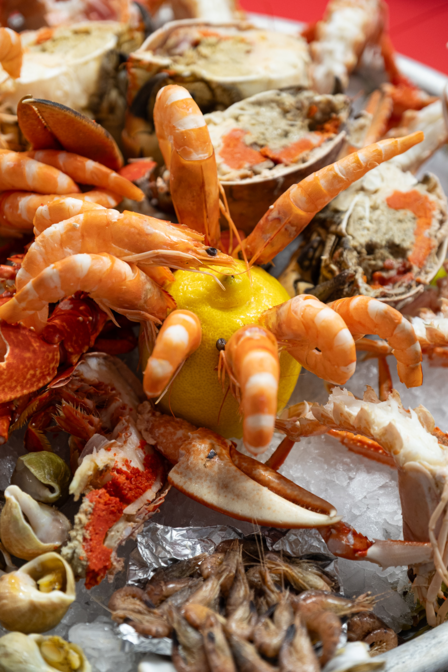 Sélection Régionale du Championnat de France des Ecaillers (Arcachon-Aquitaine)