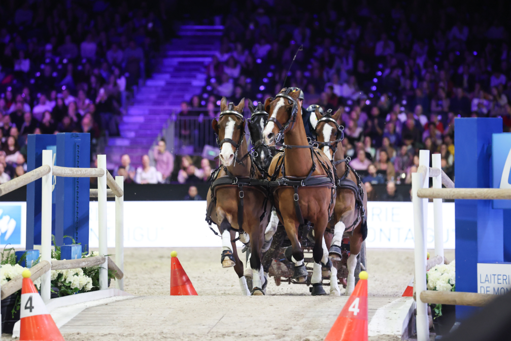 CAIW Final - FEI Driving World Cup™ Final - 1ère manche - 2ème place - Dries Degrieck