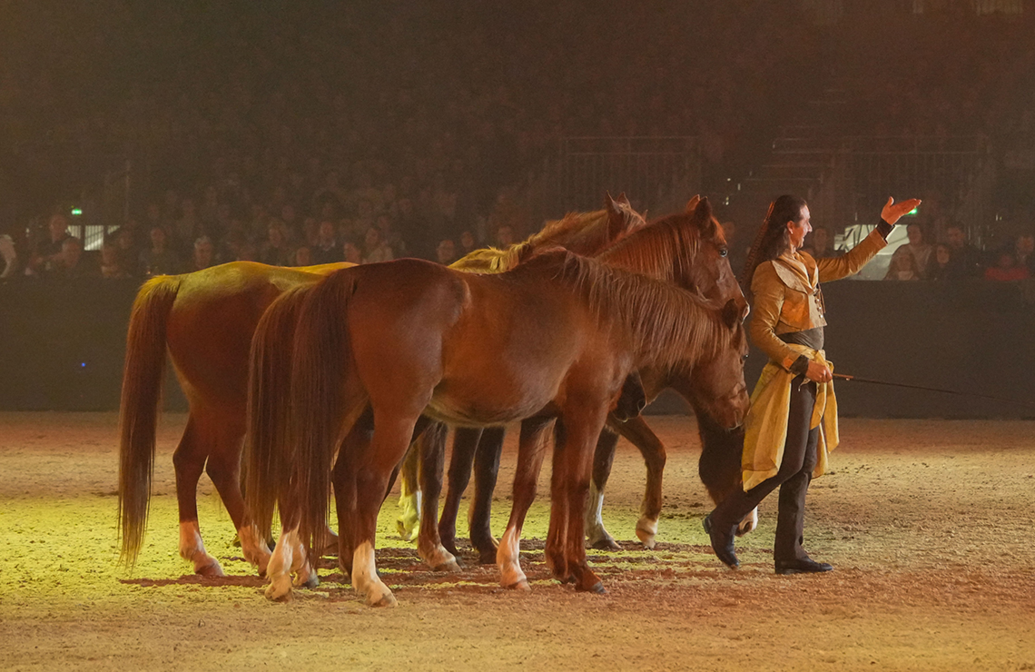 spectacle-sueno-artisteassocie-010.jpg