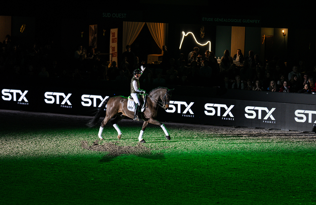 battle-de-dressage-by-stx-artisteassocie-062.jpg