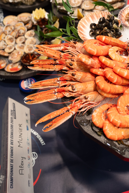 Sélection Régionale du Championnat de France des Ecaillers (Arcachon-Aquitaine)