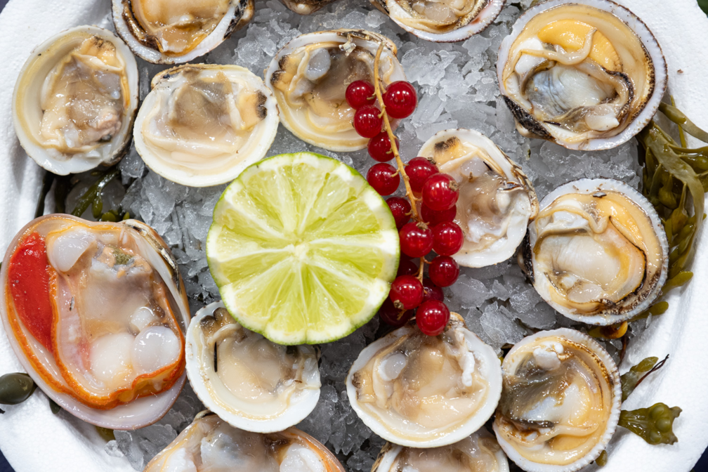 Sélection Régionale du Championnat de France des Ecaillers (Arcachon-Aquitaine)