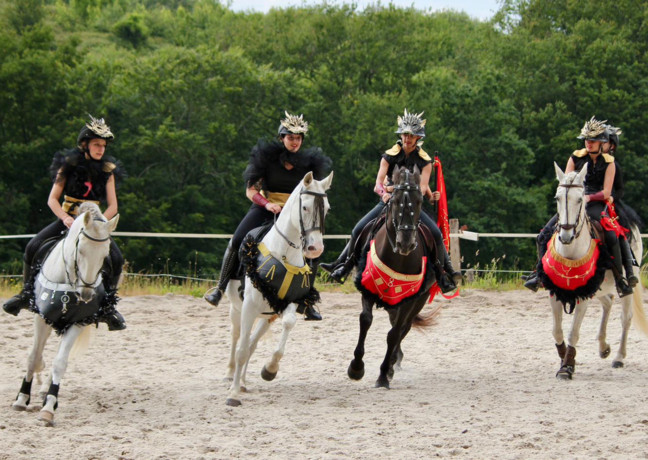 Spectacle-équestre.jpg