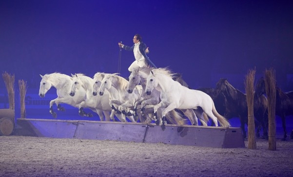 Empreinte, spectacle d’ouverture du Jumping International de Bordeaux 2027
