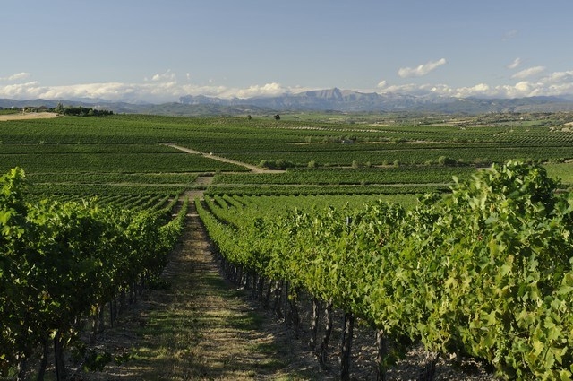 photo aragon.jpg
