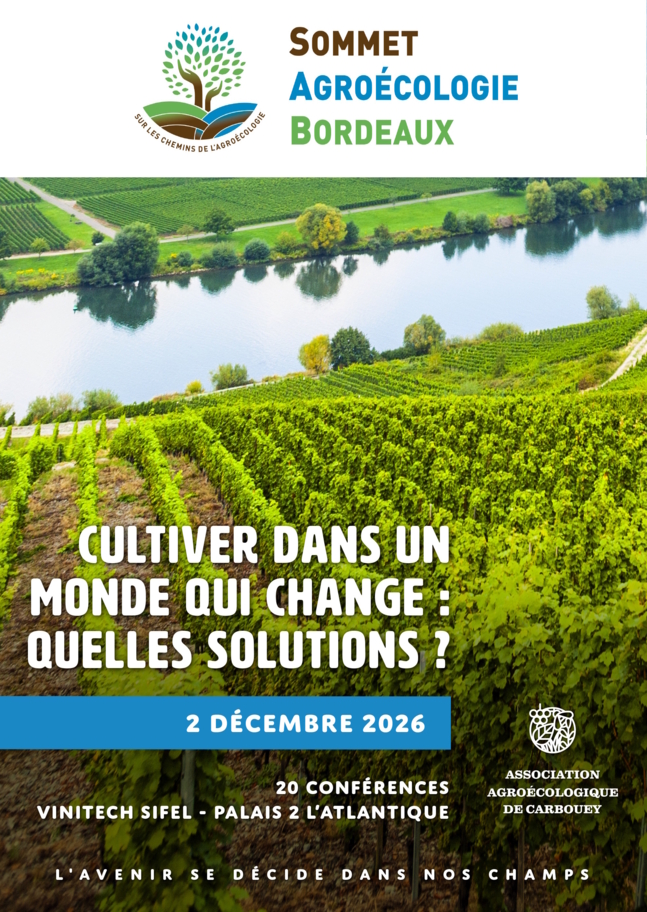 SOMMET_Affiche_VF_leger.jpg