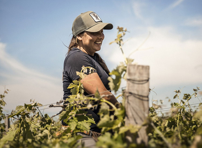 COLLECTIF « L’APPEL DE LA VIGNE » .jpg