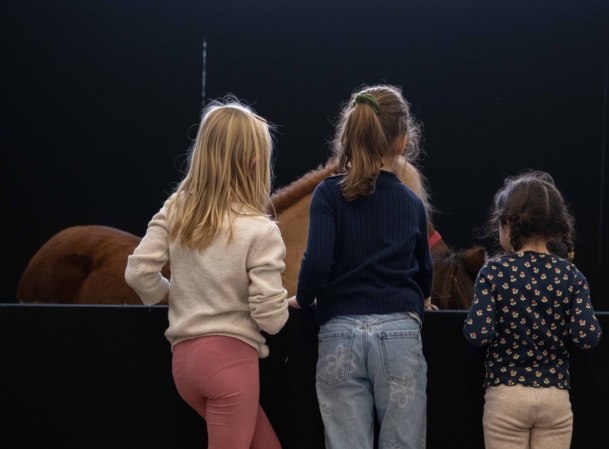 Poney club-ArtisteAssocie-001.JPG