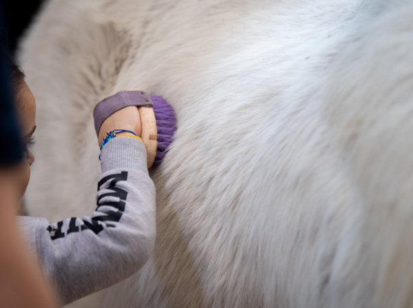 Le Poney Club - ©ArtisteAssocié 4.jpg